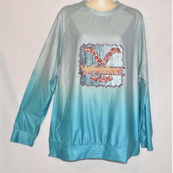 Yellowstone L Ombre Aqua Turquoise Stretch Knit Pullover Top I058 - Picture 1 of 6